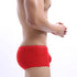 Sexy Mesh Enhancer Trunk Brief Underwear, Breathable, with Enhancer front pouch, low rise