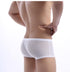 Sexy Mesh Enhancer Trunk Brief Underwear, Breathable, with Enhancer front pouch, low rise