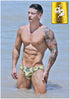 Men's AQ Hybrid Collection RETRO BIKINI 3-Pack