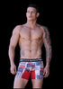 Men's AQ Hybrid 2-in-1 Bulge Enhancer Boxer Briefs & Swim Trunks – 3-Pack