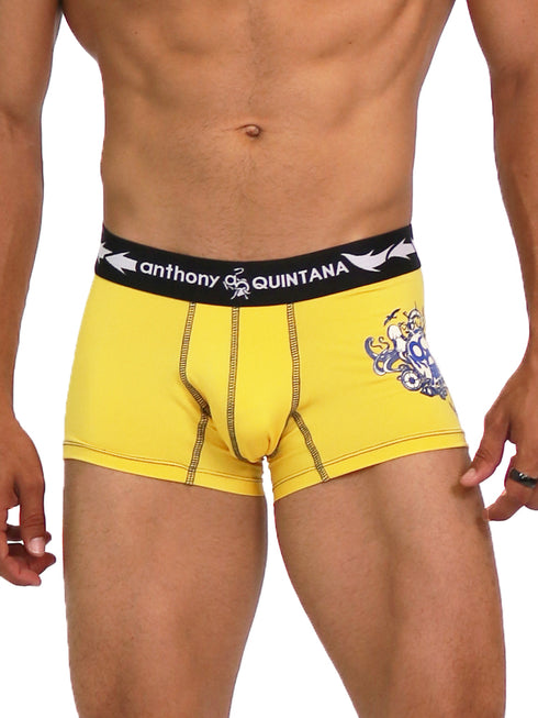 Men's AQ Trunk Men's Hybrid Collection Boxer Briefs Trunk-up Hot Pants – 3-Pack