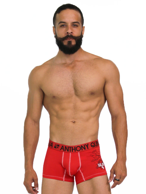 Men's AQ Trunk Men's Hybrid Collection Boxer Briefs Trunk-up Hot Pants – 3-Pack