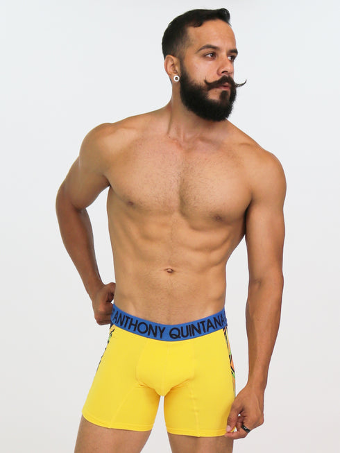 Men's AQ Hybrid Collection Boxer Long Briefs – 3-Pack