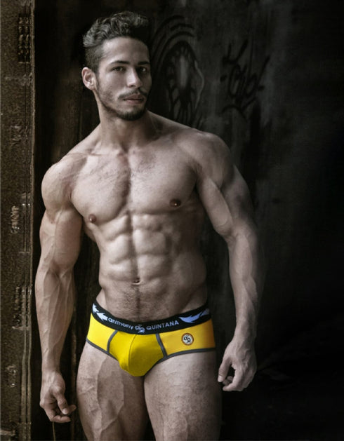 Anthony Quintana Men's Hybrid 2-in-1 Briefs & Swimwear Briefs – Premium 3-Pack Enhancing Pouch AQ4768