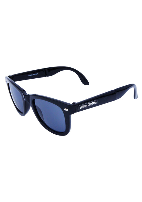 AQ WayFarer Sunglasses