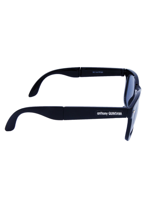 AQ WayFarer Sunglasses