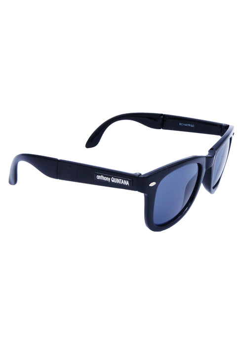 AQ WayFarer Sunglasses