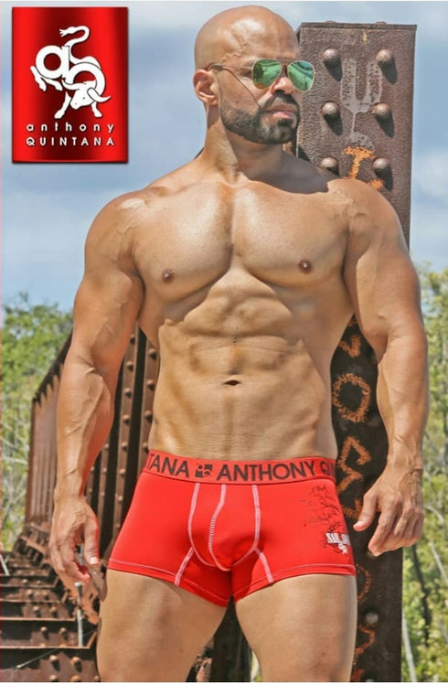 Men's AQ Trunk Men's Hybrid Collection Boxer Briefs Trunk-up Hot Pants – 3-Pack